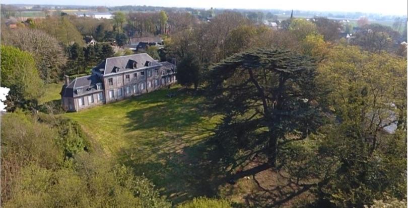 Les Gites Du Chateau Du Cedre Manneville-ès-Plains エクステリア 写真